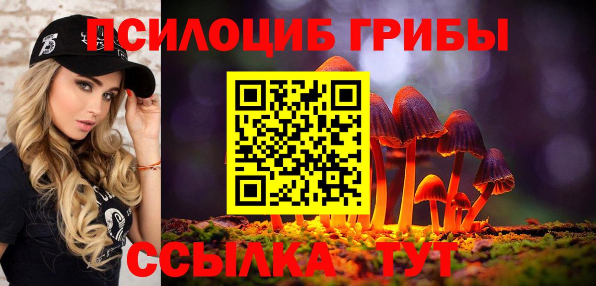 купить наркотики сайты  Галлюциногенные грибы Cubensis  Вход с VPN  Назарово 